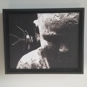 Fish Whispers (Photography) Framed Stretched Canvas